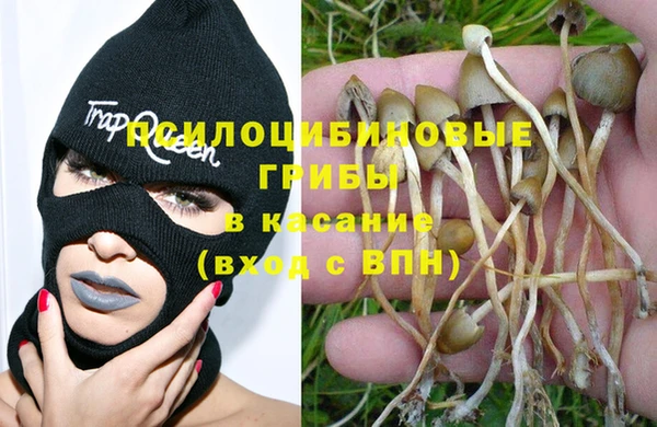 2c-b Верея